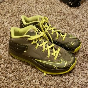 Lebron 11 Low Dunkman